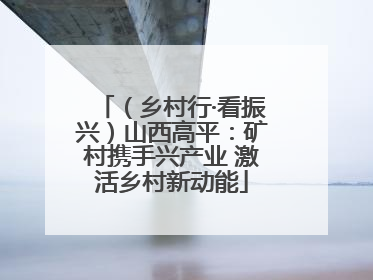 （乡村行·看振兴）山西高平：矿村携手兴产业 激活乡村新动能