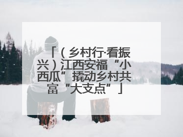 （乡村行·看振兴）江西安福“小西瓜”撬动乡村共富“大支点”