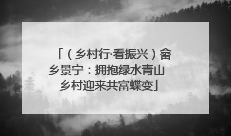 （乡村行·看振兴）畲乡景宁：拥抱绿水青山 乡村迎来共富蝶变