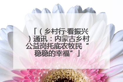 （乡村行·看振兴）通讯：内蒙古乡村公益岗托底农牧民“稳稳的幸福”