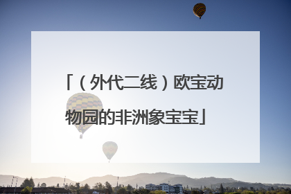 （外代二线）欧宝动物园的非洲象宝宝