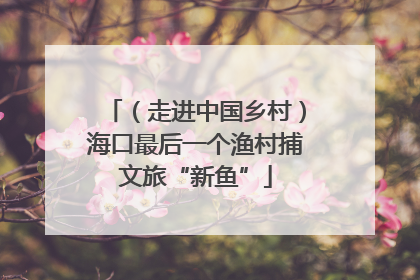 （走进中国乡村）海口最后一个渔村捕文旅“新鱼”