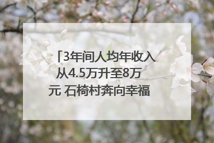 3年间人均年收入从4.5万升至8万元 石椅村奔向幸福好样子｜牵挂的村