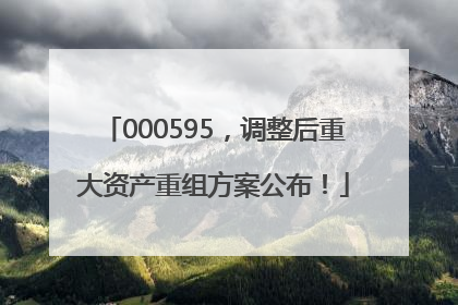 000595，调整后重大资产重组方案公布！