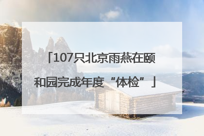 107只北京雨燕在颐和园完成年度“体检”