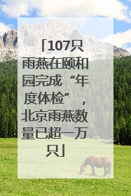 107只雨燕在颐和园完成“年度体检”，北京雨燕数量已超一万只