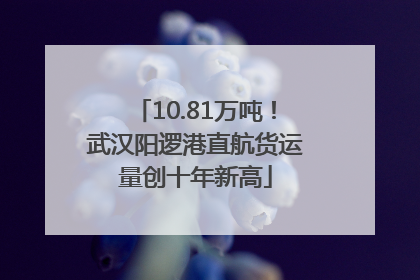 10.81万吨！武汉阳逻港直航货运量创十年新高