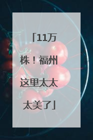 11万株！福州这里太太太美了