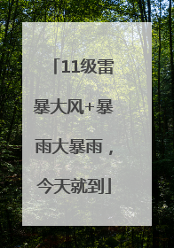 11级雷暴大风+暴雨大暴雨，今天就到
