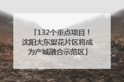 132个重点项目！沈阳大东望花片区将成为产城融合示范区