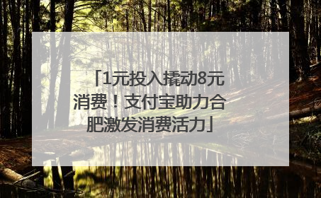 1元投入撬动8元消费！支付宝助力合肥激发消费活力