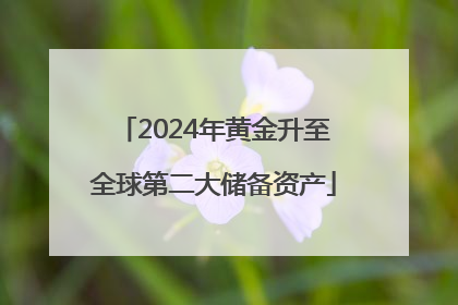 2024年黄金升至全球第二大储备资产