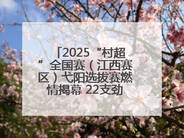 2025“村超”全国赛（江西赛区）弋阳选拔赛燃情揭幕 22支劲旅绿茵逐梦