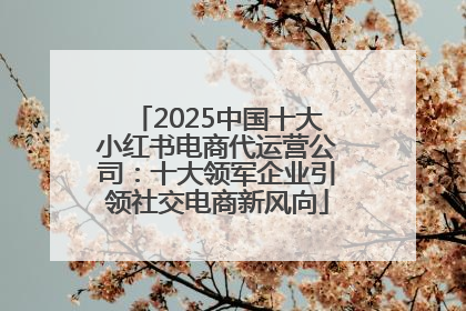 2025中国十大小红书电商代运营公司：十大领军企业引领社交电商新风向