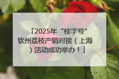 2025年“桂字号”钦州荔枝产销对接（上海）活动成功举办！