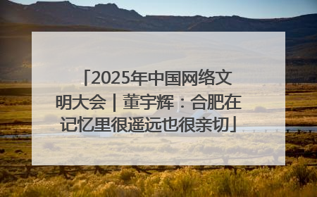 2025年中国网络文明大会｜董宇辉：合肥在记忆里很遥远也很亲切