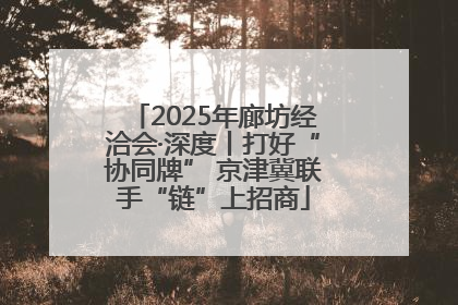 2025年廊坊经洽会·深度丨打好“协同牌” 京津冀联手“链”上招商