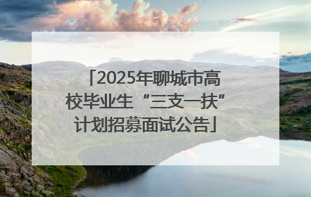 2025年聊城市高校毕业生“三支一扶”计划招募面试公告