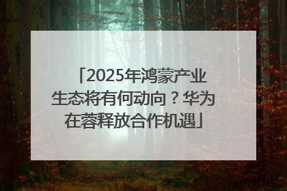 2025年鸿蒙产业生态将有何动向？华为在蓉释放合作机遇