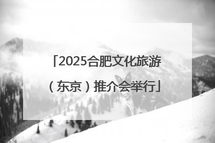 2025合肥文化旅游（东京）推介会举行