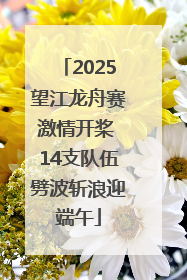 2025望江龙舟赛激情开桨 14支队伍劈波斩浪迎端午