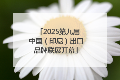2025第九届中国（印尼）出口品牌联展开幕