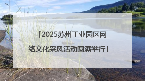 2025苏州工业园区网络文化采风活动圆满举行