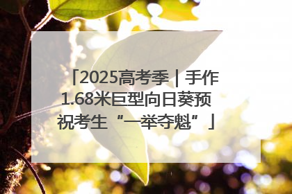 2025高考季｜手作1.68米巨型向日葵预祝考生“一举夺魁”
