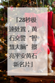 28秒极速处置，黄石交警“智慧大脑”擦亮平安黄石新名片