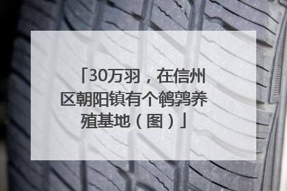 30万羽，在信州区朝阳镇有个鹌鹑养殖基地（图）