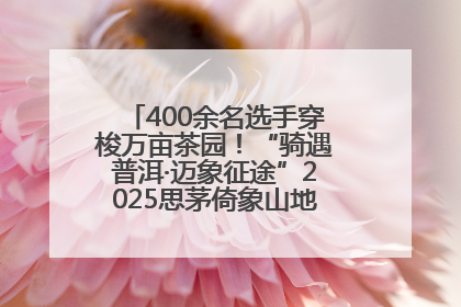 400余名选手穿梭万亩茶园！“骑遇普洱·迈象征途”2025思茅倚象山地自行车赛圆满举行