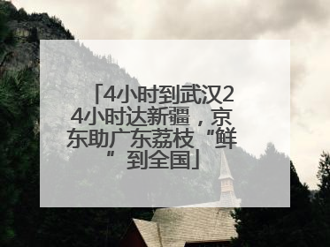 4小时到武汉24小时达新疆，京东助广东荔枝“鲜”到全国