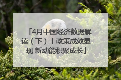 4月中国经济数据解读（下）丨政策成效显现 新动能积聚成长