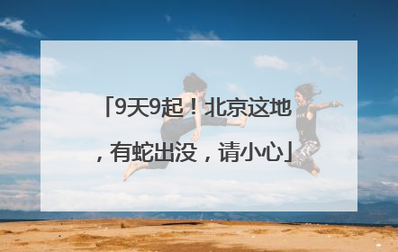 9天9起！北京这地，有蛇出没，请小心