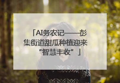 AI务农记——彭集街道甜瓜种植迎来“智慧丰收”