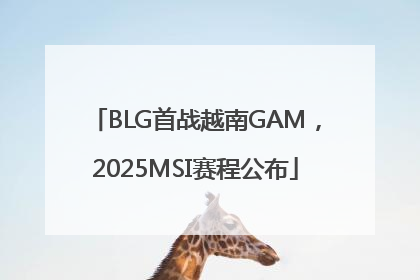 BLG首战越南GAM，2025MSI赛程公布