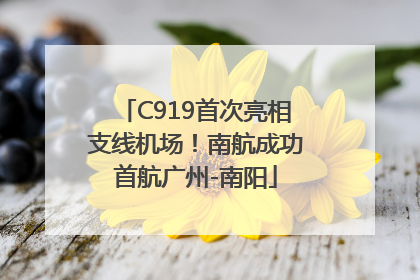 C919首次亮相支线机场！南航成功首航广州-南阳