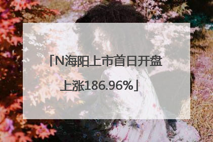 N海阳上市首日开盘上涨186.96%